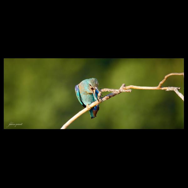 PHOTO84, CLUB, 84 , LUBERON